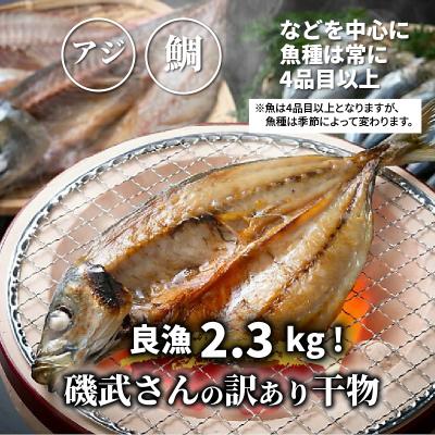 ふるさと納税 国東市 良漁2.3kg!磯武さんの訳あり干物_1020R