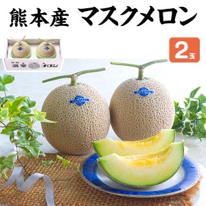 メロン マスクメロン 2玉 1.5kg×2玉 贈答用「果物の王様」百貨店品質の高級品・プレゼント 感謝 敬老の日 果物 母の日 父に日 お中元 …