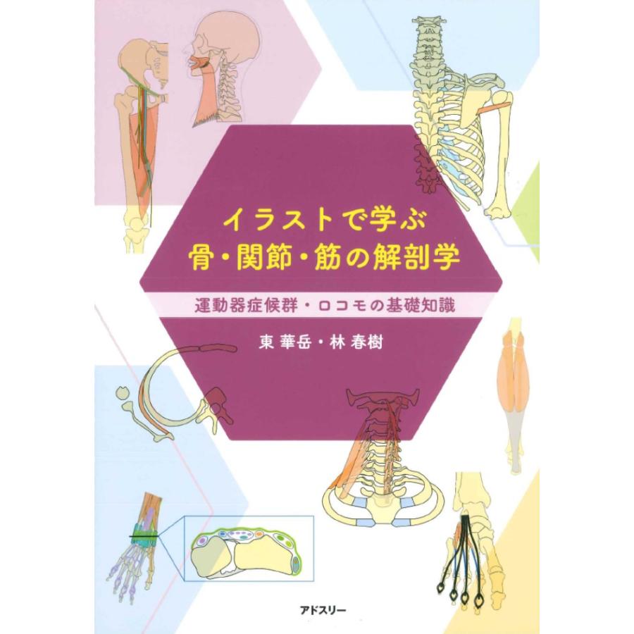 翌日発送・イラストで学ぶ骨・関節・筋の解剖学 東華岳