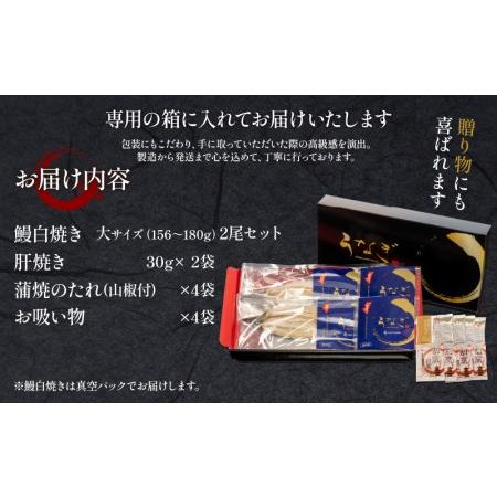 ふるさと納税 国産うなぎ使用 鰻白焼き 大サイズ(156〜180g)2尾セット　うなぎ 国産 白焼き 宮崎県宮崎市