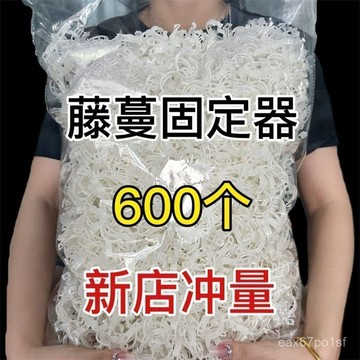 ⚡夏季上新⚡【店鋪熱銷】黃瓜西紅柿豆角爬藤枝條固定器綠植蔬菜捆綁紮帶藤蔓專用園林工具 FBPE