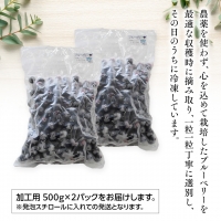  つくばみらい市 産 冷凍 ブルーベリー 1kg 500g ×2パック 国産 農薬無使用 自家農場 果物 就労継続支援 フルーツ おいしい 冷凍ブルーベリー フリーズ [DG02-NT］