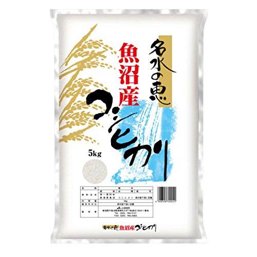 令和５年産 魚沼産 コシヒカリ 新潟 JA津南町農協 安心のＪＡ農協米 名水の恵 5kg