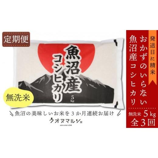 ふるさと納税 新潟県 南魚沼市 おかずのいらない 魚沼産コシヒカリ　無洗米５ｋｇ