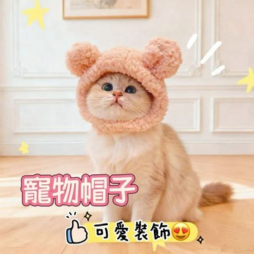 🌟現貨【寵物帽子】寵物頭套｜小貓咪帽子｜小貓毛絨帽子｜可愛裝飾｜搞怪拍照頭飾