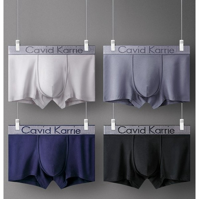 ボクサーパンツ メンズ アウトドア 下着 男性用 ブリーフ トランクス 新生活 ブランド 人気 オシャレ ネイビー セール Sale４点 通販 Lineポイント最大0 5 Get Lineショッピング