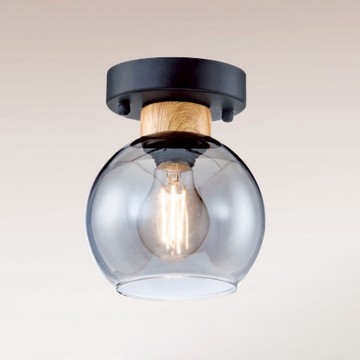 E27工業風單吸頂燈 B250-53-12-4056