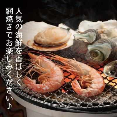 ふるさと納税 越前町 冷凍便でお手軽! 厳選の海鮮BBQ≪A≫セット(6種13品、3〜4人用)