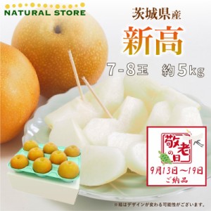 [最短順次発送]   新高 和梨 約5kg 7-8玉 茨城県産 秋ギフト  果実ギフト