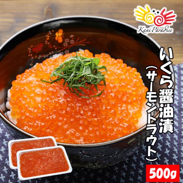 いくら イクラ 醤油漬 （ サーモントラウト 卵 ） 500g（250g*2パック入り）   北欧サーモン いくら イクラ 小粒 海鮮 丼 手巻き