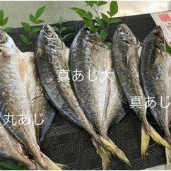 AD6003n_鮮魚問屋の アジの 干物セット (真あじ大4枚 真あじ小6枚 丸あじ4枚)