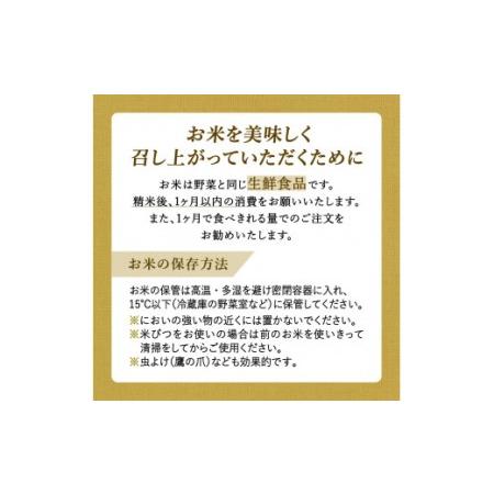 ふるさと納税 さがびより５kg×６回 B463 佐賀県伊万里市