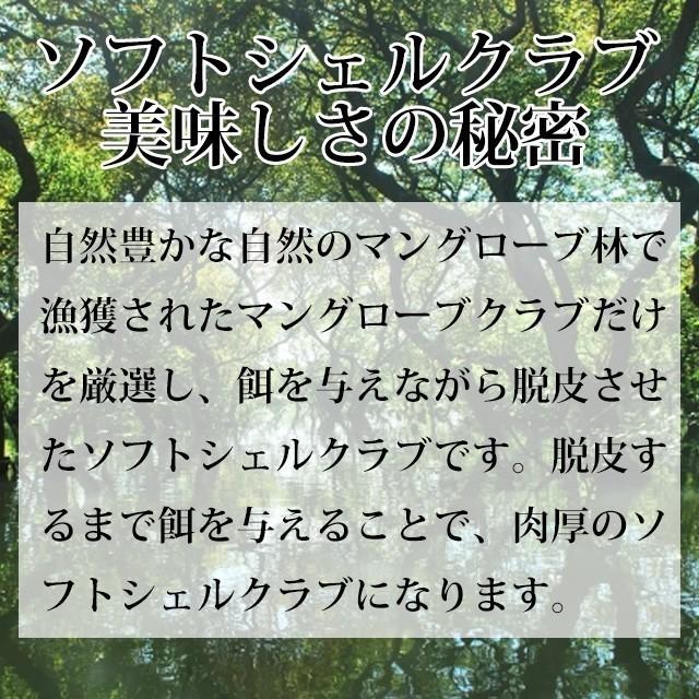 ソフトシェルクラブ　カクテル サイズ 約35g×30匹（1キロ入り）蟹 カニ かに 脱皮ガニ 大容量