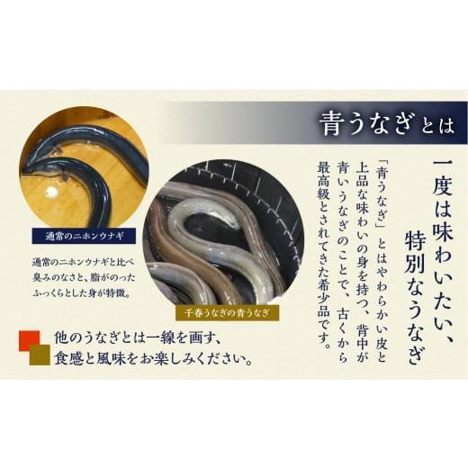 ふるさと納税 愛知県 田原市 厳選 高級 青うなぎ 10尾 蒲焼 1500g