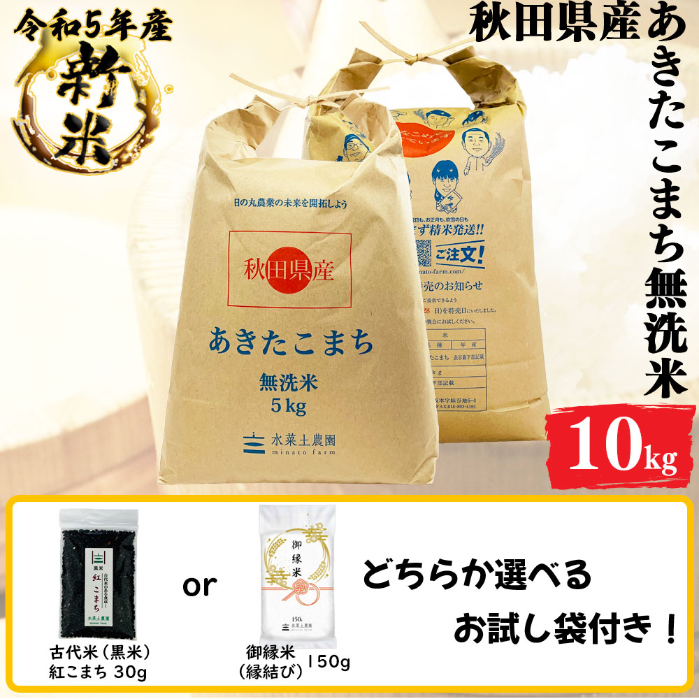 新米 あきたこまち 無洗米 10kg(5kg2袋) 秋田県産 令和5年産