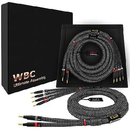 WORLDS BEST CABLES 10 Foot Ultimate AWG Ultra-Pure OFC Premium Audiophile HiFi Bi-Wire Speaker Cable Pair with Eminence Gold Banana P 並行輸入