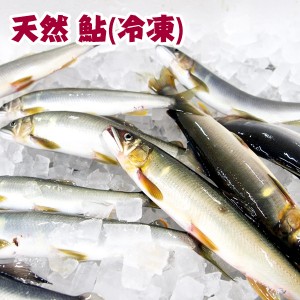 四万十川天然　鮎（冷凍）Mサイズ　3匹セット 1匹約90g～120g 個包装