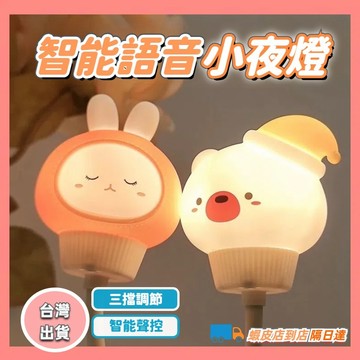 快速出貨🍅小夜燈 夜燈 聲控燈 插電 語音小夜燈 插電小夜燈 聲控小夜燈 usb小夜燈 感應小夜燈 智能語音燈 定時夜燈