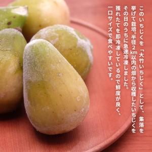 ふるさと納税 フローズンいちじく3kg（1kg×3袋） 秋田県にかほ市