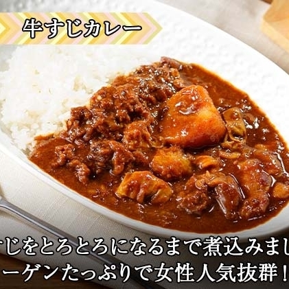 先行受付無地熨斗 倶知安 牛すじカレー 中辛 計3個 北海道 レトルト食品 牛すじ 野菜 じゃがいも お取り寄せ グルメ スパイス おかず お肉 牛肉 加工食品 レトルト