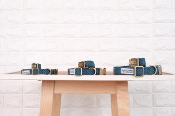 狗項圈 Indigo x Indigo