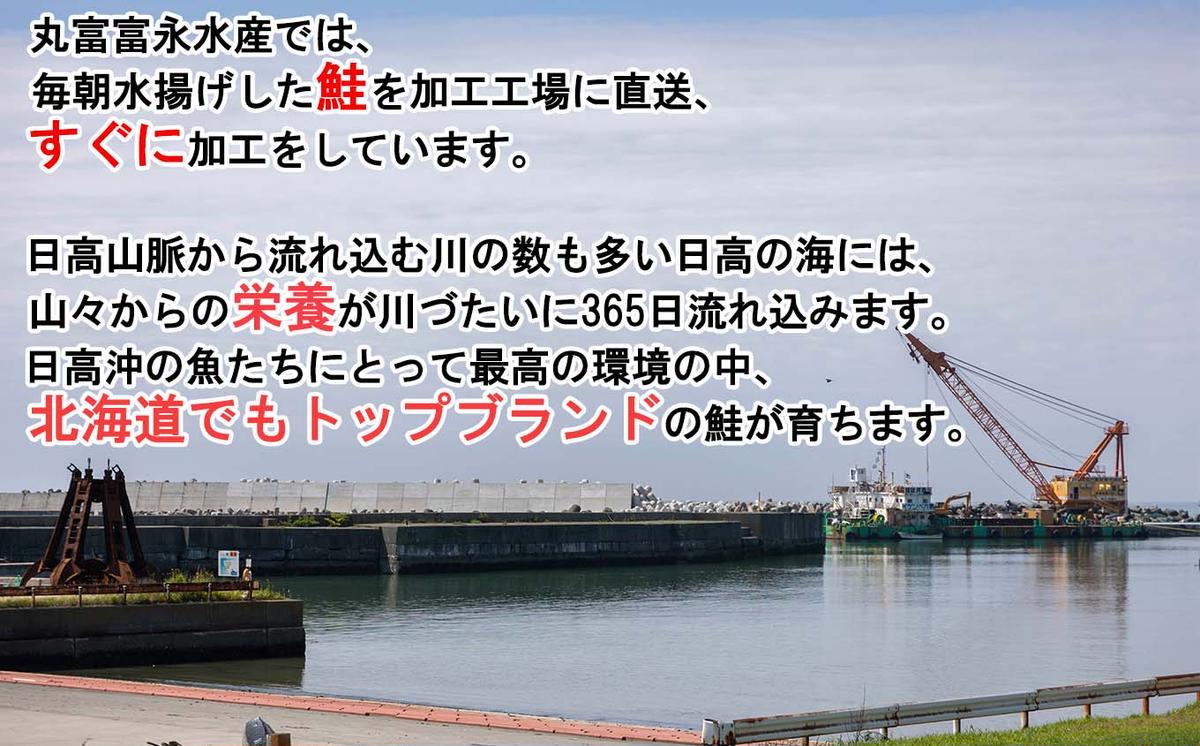 北海道産 新巻鮭 網元特製 半身2切れ 2.2kg 前後