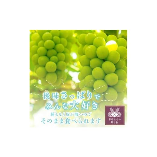 ふるさと納税 山梨県 甲府市 〈2024年度配送分〉山梨県甲府市産 ぶどうミックス 2房（シャイン・黒系ぶどう）