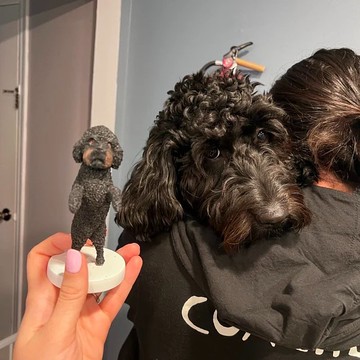 【客製化3D寵物紀念公仔】訂製手作似顏繪肖像狗狗貓咪毛小孩娃娃