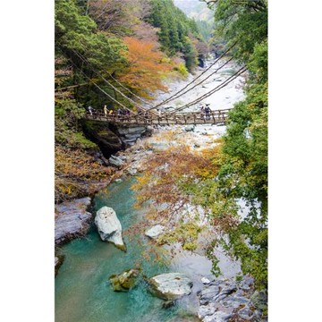 輕奢行｜四國雙鐵道7日｜伊予灘&千年物語．夢幻草莓園野餐．隈研吾設計旅宿．大阪國際5星｜高松進大阪出三溫泉_TAK07ISW