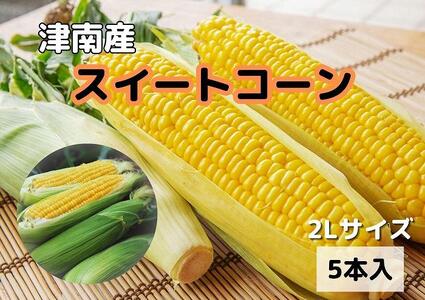 朝取りスイートコーン 2Lサイズ 5本（1本約400g）