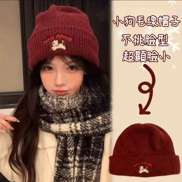 刺繡針織帽 秋冬帽子 毛綫帽 秋冬季毛織帽 韓版冷帽 毛帽 秋冬帽 賞雪帽 日系復古 護耳帽 帽子 包頭帽 粗毛線帽