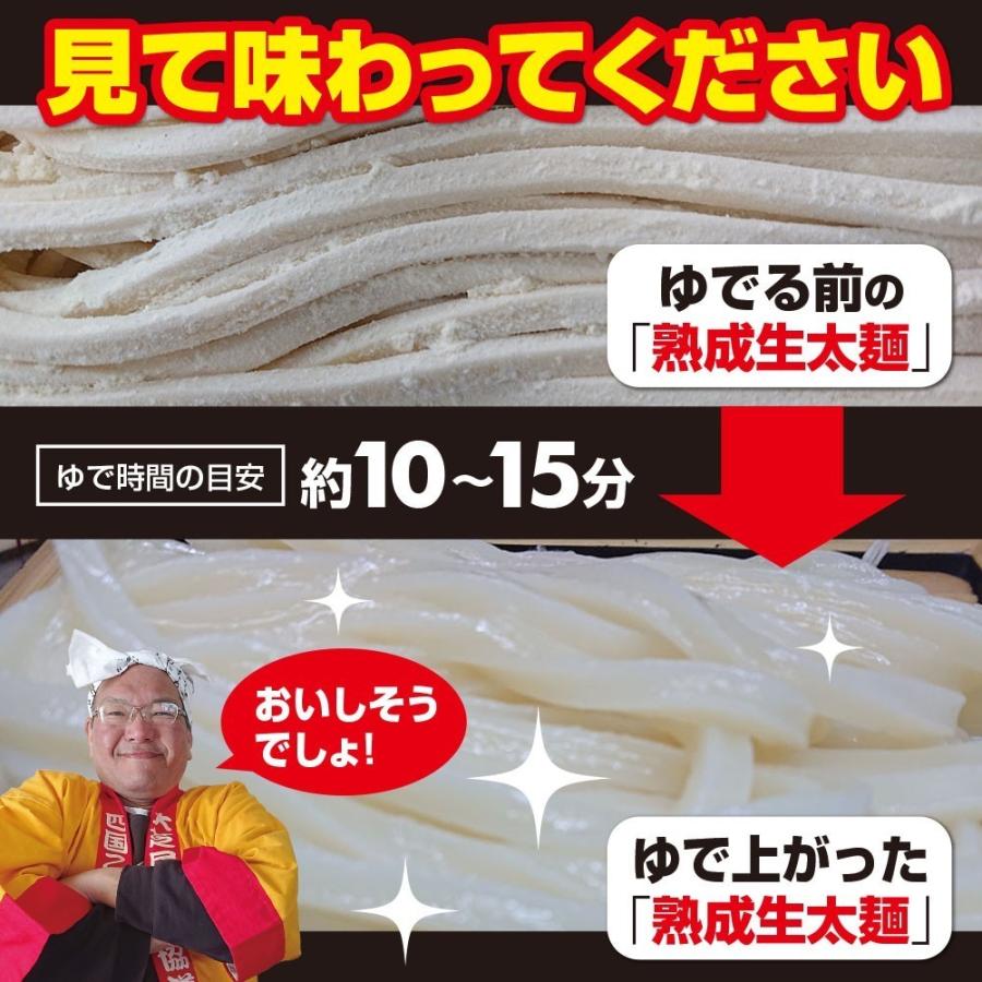 激ウマ 熟成 ちょい 生太 讃岐 うどん ドーンと 6食 便利な個包装 300g×2袋 600g 送料無料 最安値 挑戦