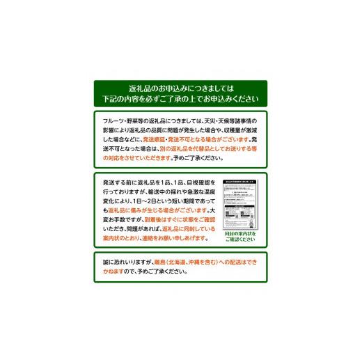 ふるさと納税 香川県 高松市 高松産季節の果物＜さぬきひめいちご化粧箱＞約400g×3箱