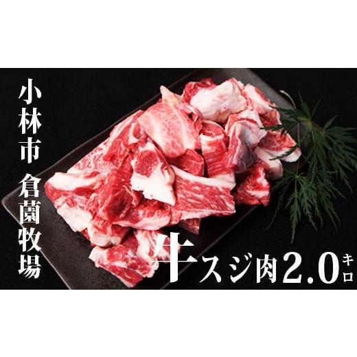 ふるさと納税 宮崎県 小林市 宮崎牛濃厚スジ肉 約2.0kg