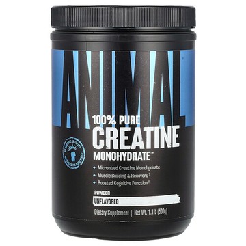Animal, 全全一水肌酸™ 粉，原味，1.1 磅（500 克）