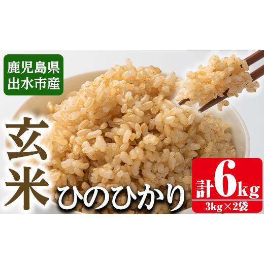 ふるさと納税 鹿児島県 出水市 i504 ＜2023年11月上旬から順次発送＞令和5年産！鹿児島県出水市産ひのひかり玄米＜3kg×2袋・計6kg＞