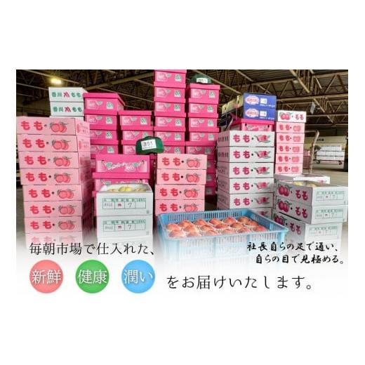 ふるさと納税 香川県 坂出市 特秀品！坂出生まれの桃　約４kg （12〜16玉）