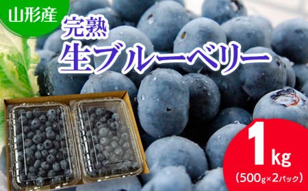 山形の完熟生ブルーベリー 1kg(500g×2パック) FU20-082