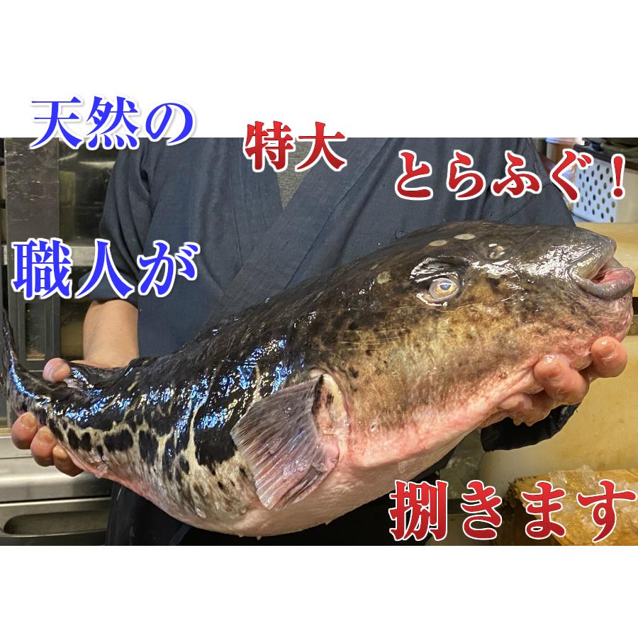 とらふぐ鍋 天然 とらふぐ トラフグ 鍋 セット 3人前 お歳暮 送料無料 ふぐ鍋  フグ鍋 てっちり 海鮮 ギフト 取り寄せ 賞味期限冷凍１０日解凍後冷蔵で２日