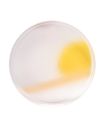NUDE COLLECTION Decorative plates - Item 58046918
