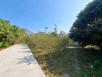 專任資產配置首選草屯大面寬低總價荔枝園｜南投縣草屯鎮土城段