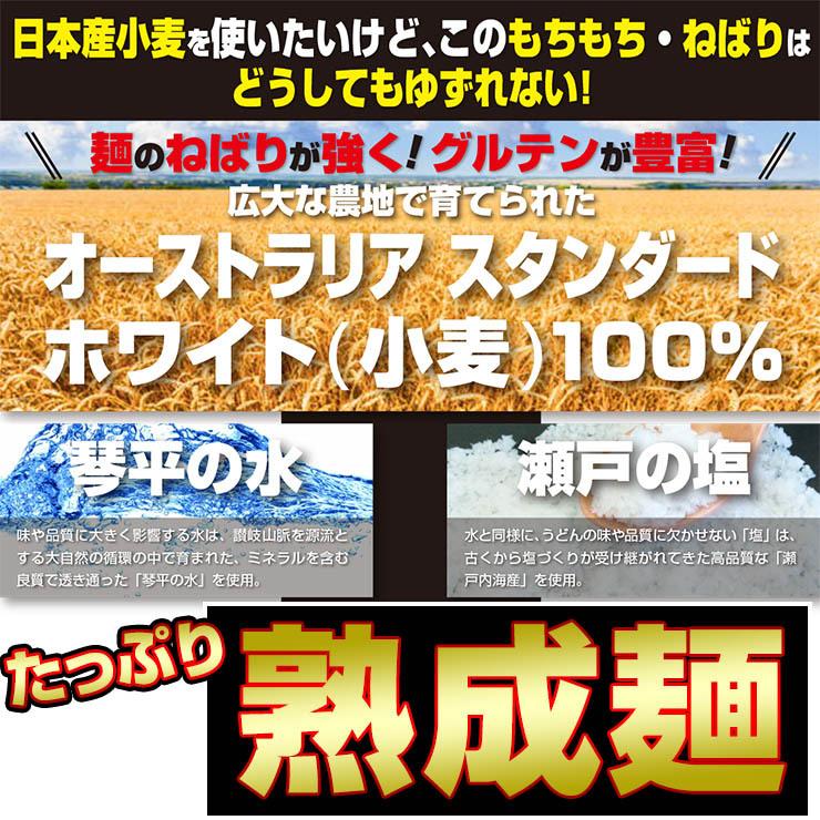 熟成 ちょい 生太 讃岐うどん ドーンと 9食 便利な個包装 300g×3袋 送料無料 最安値 挑戦 得トクセール 特産品