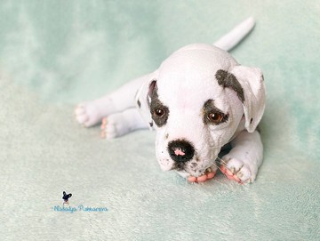 美国比特斗牛犬小狗逼真的玩具宠物肖像