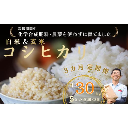 ふるさと納税 長野県 佐久穂町 定期便　白米５キロ＋玄米５キロ　炊きあがりのつやと香りが良く、うま味も強い　コシヒカリ　佐久穂とさや農園〔ST-W5B5-1-T3…