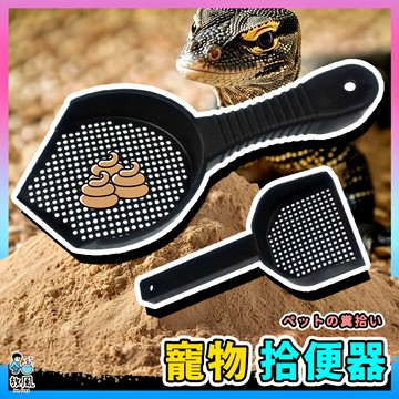 放風爬蟲大王🦎【寵物拾便器】爬蟲沙鏟便器 魚缸 水族 鏟木屑 鏟子 黑土 細孔 寵物箱 沙鏟 清砂 爬蟲飼養箱 換樹皮屑