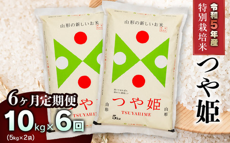 新米 山形県庄内産 特別栽培米つや姫10kg（5kg×2） 鶴岡米穀商業協同組合