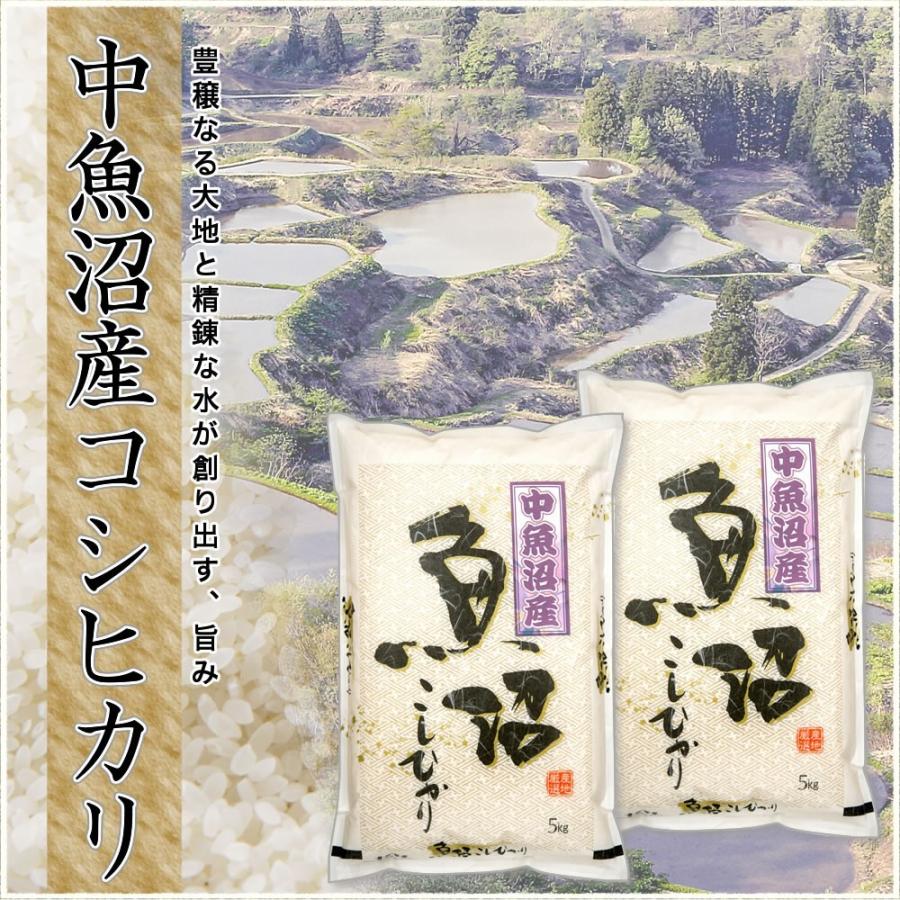 新米 お米 5kg 中魚沼産コシヒカリ 令和5年産 新潟産 送料無料 （北海道、九州、沖縄除く）