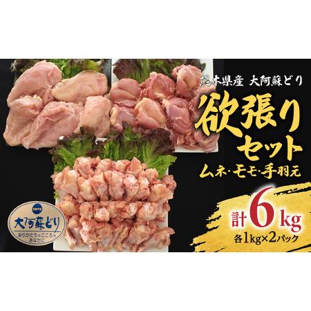 ふるさと納税 熊本県産 大阿蘇どり 欲張り6kgセット モモ ムネ 手羽元 熊本県八代市