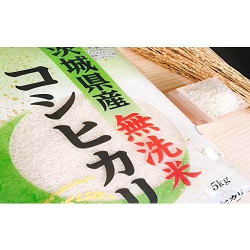 お米 BG無洗米 茨城県産コシヒカリ10kg（5kg×2） 令和3年産