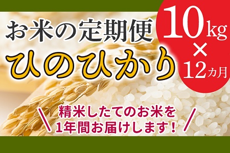 鹿児島県産米ひのひかり10kg定期便 013-07